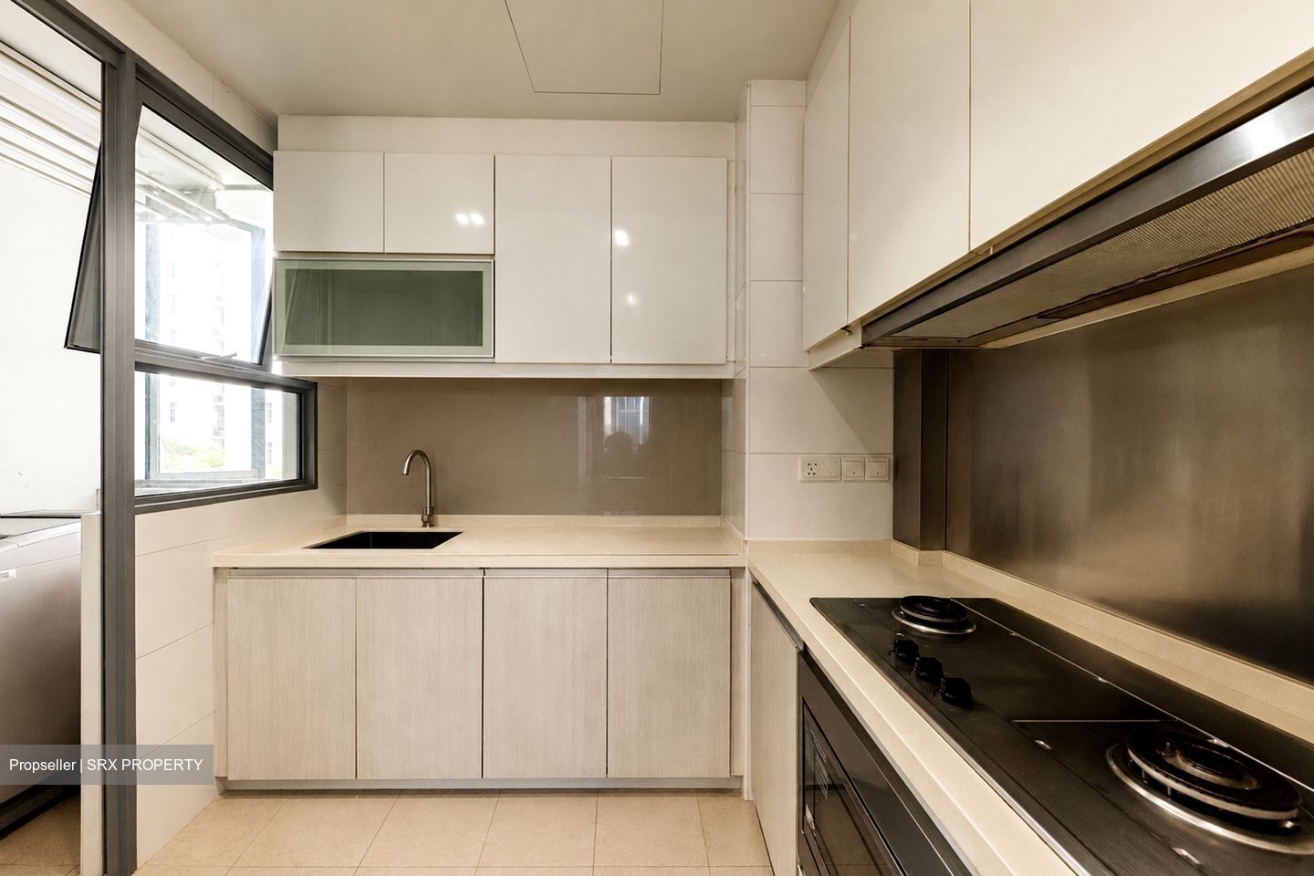 The Canopy (D27), Condominium #557474041